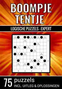 BOOMPJE TENTJE - LOGISCHE PUZZELS EXPERT - 75 PUZZELS, INCL.