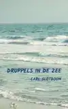 DRUPPELS IN DE ZEE