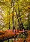 HET STILLE BOS