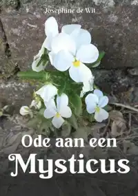 ODE AAN EEN MYSTICUS