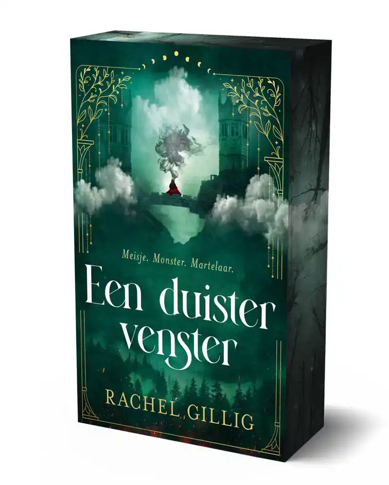 EEN DUISTER VENSTER - LIMITED EDITION