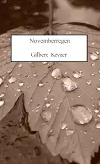 NOVEMBERREGEN