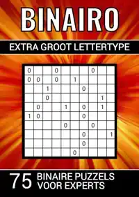 BINAIRO - EXTRA GROOT LETTERTYPE - 75 BINAIRE PUZZELS VOOR E