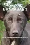 BRAAKBAL 3