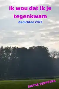 IK WOU DAT IK JE TEGENKWAM