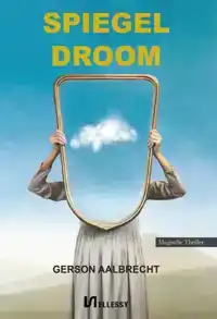 SPIEGELDROOM