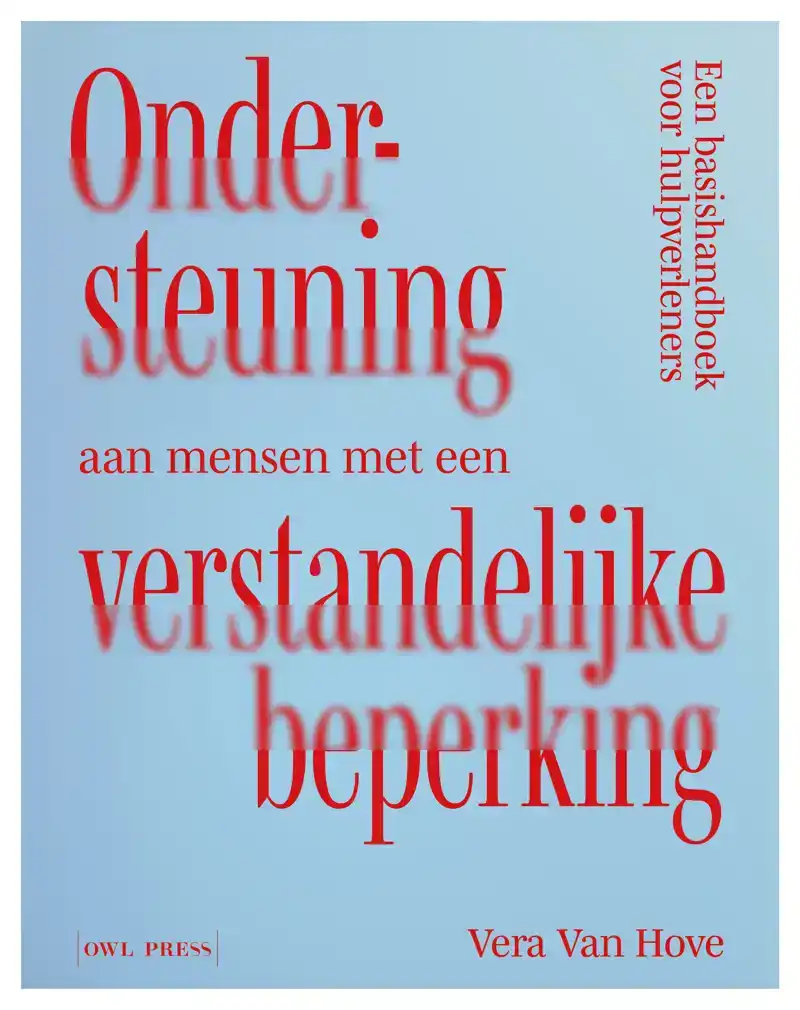 ONDERSTEUNING AAN MENSEN MET EEN VERSTANDELIJKE BEPERKING
