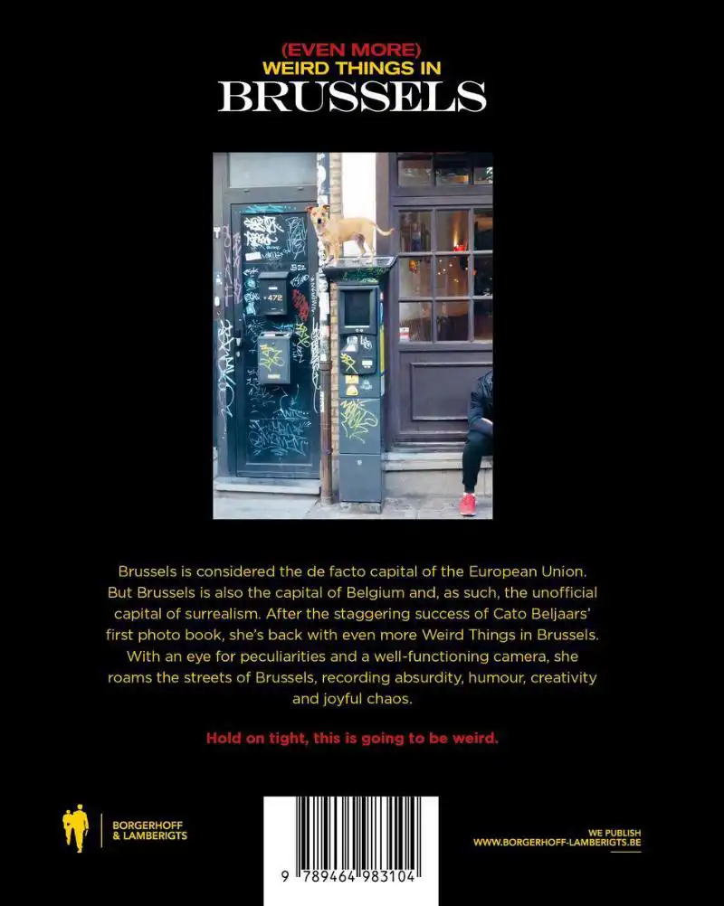(EVEN MORE) WEIRD THINGS IN BRUSSELS