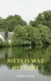 NIETS IS WAT HET LIJKT