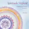 SPIRITUELE VRIJHEID WERKBOEK