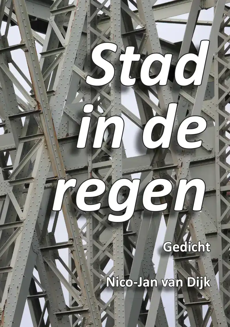 STAD IN DE REGEN.