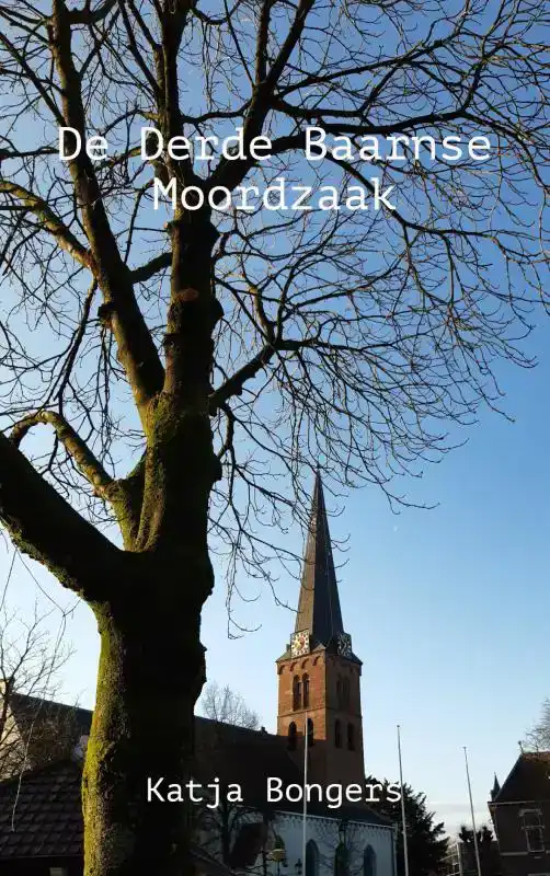 DE DERDE BAARNSE MOORDZAAK