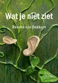 WAT JE NIET ZIET