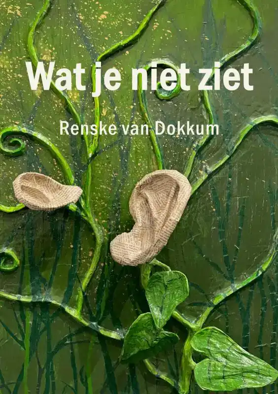 WAT JE NIET ZIET
