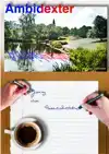 AMBIDEXTER
