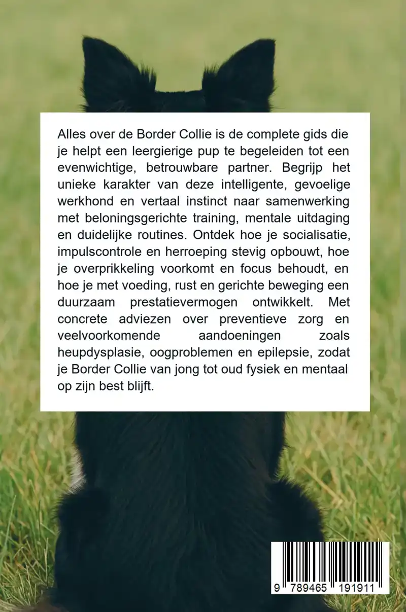 ALLES OVER DE BORDER COLLIE