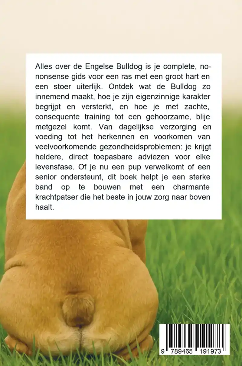 ALLES OVER DE ENGELSE BULLDOG