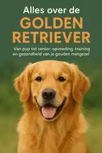 ALLES OVER DE GOLDEN RETRIEVER