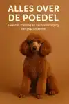 ALLES OVER DE POEDEL