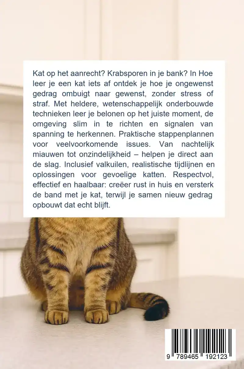 HOE LEER JE EEN KAT IETS AF