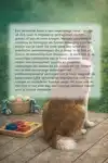 HERSENWERK VOOR JE HOND