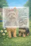 ALLES OVER DE YORKSHIRE TERRIER
