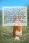 ALLES OVER DE CAVALIER KING CHARLES SPANIEL