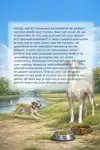 ALLES OVER DE WHIPPET