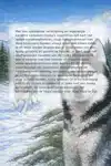 ALLES OVER DE HUSKY