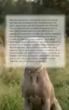 ALLES OVER DE WEIMARANER