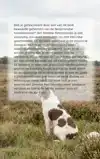 ALLES OVER HET DRENTSE PATRIJSHONDJE