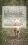 HONDENFOTOGRAFIE