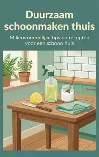 DUURZAAM SCHOONMAKEN THUIS