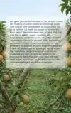 FRUITBOMEN SNOEIEN EN VORMEN