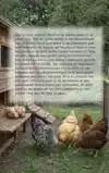 HET KIPPENBOEK