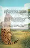 ALLES OVER DE SAVANNAH KAT