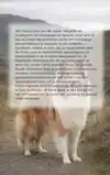 ALLES OVER DE COLLIE