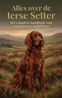 ALLES OVER DE IERSE SETTER