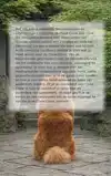 ALLES OVER DE CHOW CHOW