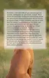 ALLES OVER DE VIZSLA