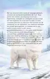 ALLES OVER DE SAMOJEED