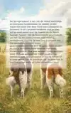 ALLES OVER DE SPRINGERSPANIEL