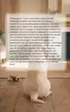 PUPPYTRAINING IN 8 WEKEN