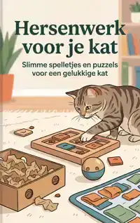 HERSENWERK VOOR JE KAT