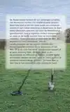 METAL DETECTING IN NEDERLAND