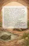 ALLES OVER SCHILDPADDEN ALS HUISDIER