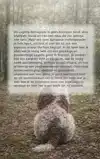 ALLES OVER DE LAGOTTO ROMAGNOLO