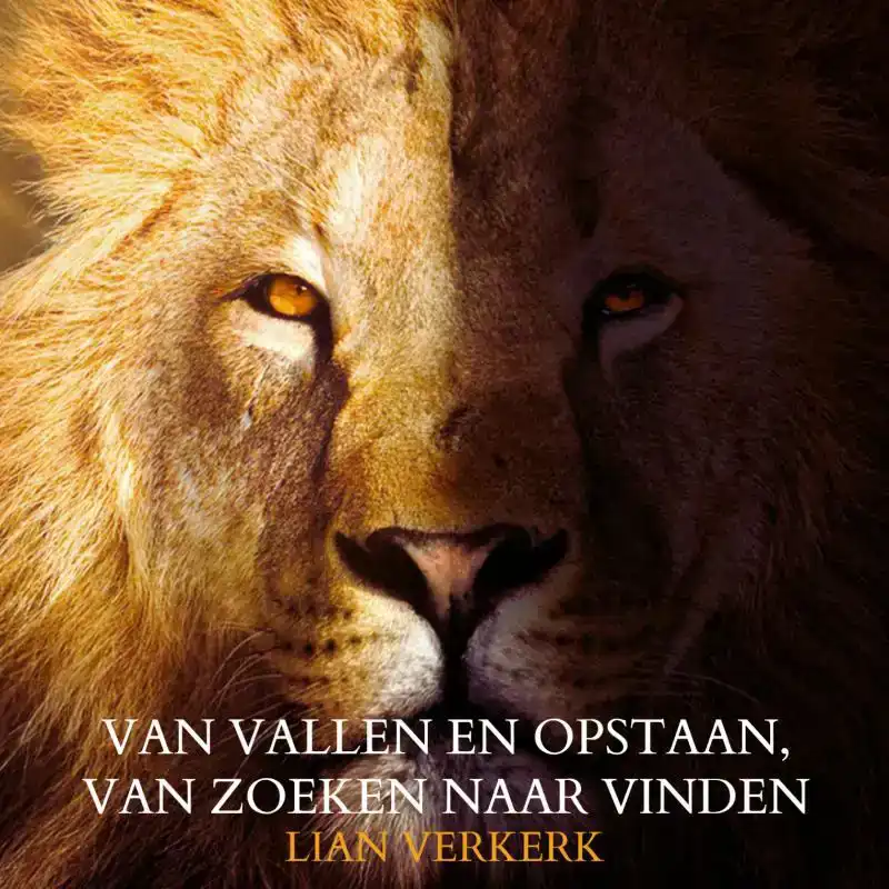 VAN VALLEN EN OPSTAAN, VAN ZOEKEN NAAR VINDEN