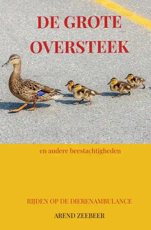 DE GROTE OVERSTEEK