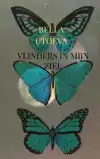 VLINDERS IN MIJN ZIEL